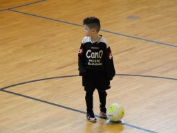 mini-IMG_5505